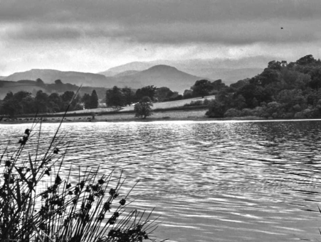 pant yr onnen campsite