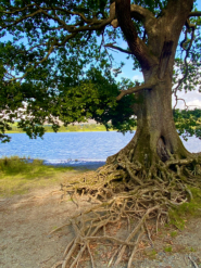 pant yr onnen campsite